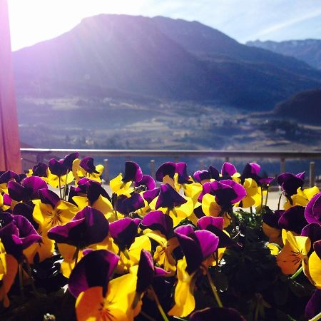 B&B L'Edera Trente Buitenkant foto